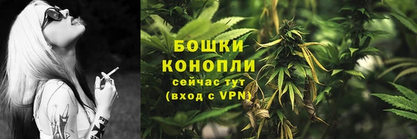 молекула духа Белокуриха