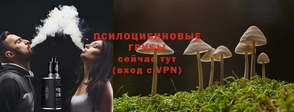 мяу мяу мука Беломорск