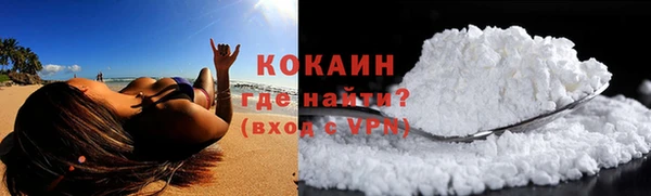 молекула духа Белокуриха