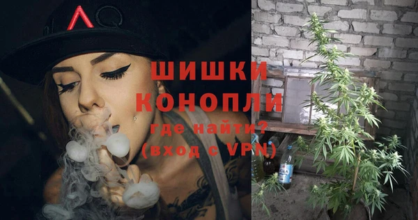 мяу мяу мука Беломорск