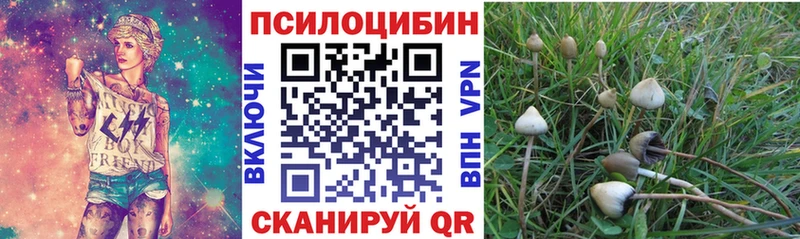 Галлюциногенные грибы мухоморы  Купить где  Ленинск-Кузнецкий 